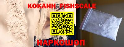 шишки Изобильный