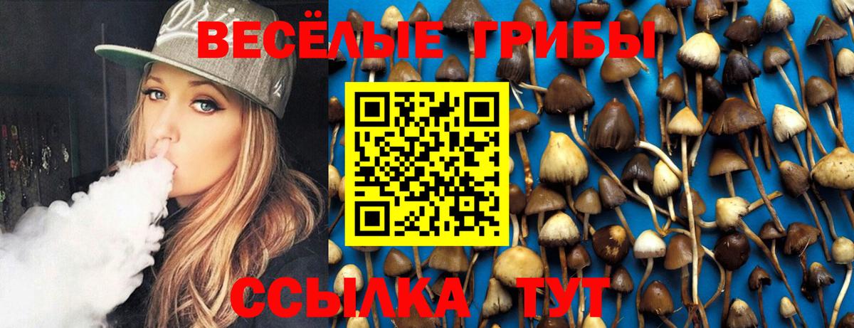Псилоцибиновые грибы мицелий Майский